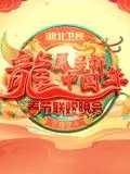 《2024湖北春晚》：年味十足，精彩纷呈，感受荆楚文化的独特魅力！