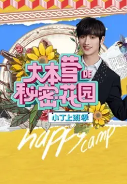 《大本营的秘密花园之小丁上班季》：职场新人蜕变记，笑泪交织的青春成长史