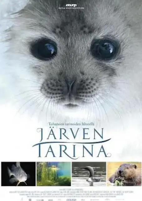 《湖泊的传说》：当古装奇遇遇上青春热血，一场关于勇气与成长的湖畔史诗！